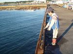 P1000147.JPG