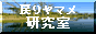 modoriyamame